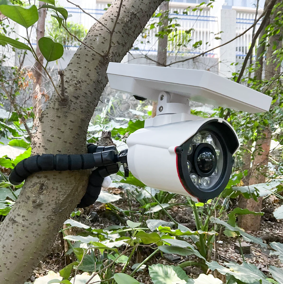 Eco-Friendly Monitoring: WEILAILIFE Solar-Powered Security Solutions