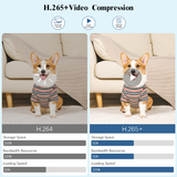 《10-Channel & 5.0MP》 NVR Recorder for Home Security Camera System, 1536P Network Video Recorder, NVR Recorders with Built in WiFi Recorder, Wireless NVR Surveillance
